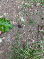 ....und was ist das?