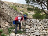 und wieder geht es hinauf....