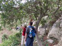 Blüten, Früchte, es gibt eine Menge zu entdecken....