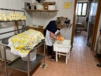 die Entstehung einer Provola