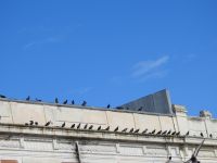 Reggio Calabria - Kalabrien