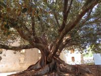 Park von Donnafugata