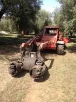 Süd-Italien - Rundreise Kalabrien-  Olivenbaum-Rüttelmaschine