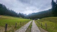 196 – Italien, Trentino, Madonna di Campiglio, Wanderung