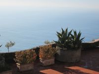 Mittelmeervegetation