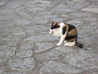 ...geschmeckt hat es