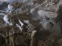 stumme Zeugen des Vulkanausbruchs 79