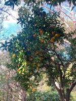 im Botanischen Garten