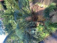 im Botanischen Garten