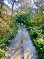 im Botanischen Garten