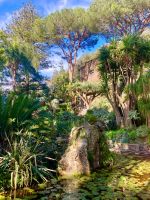 im Botanischen Garten