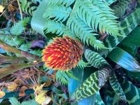 im Botanischen Garten