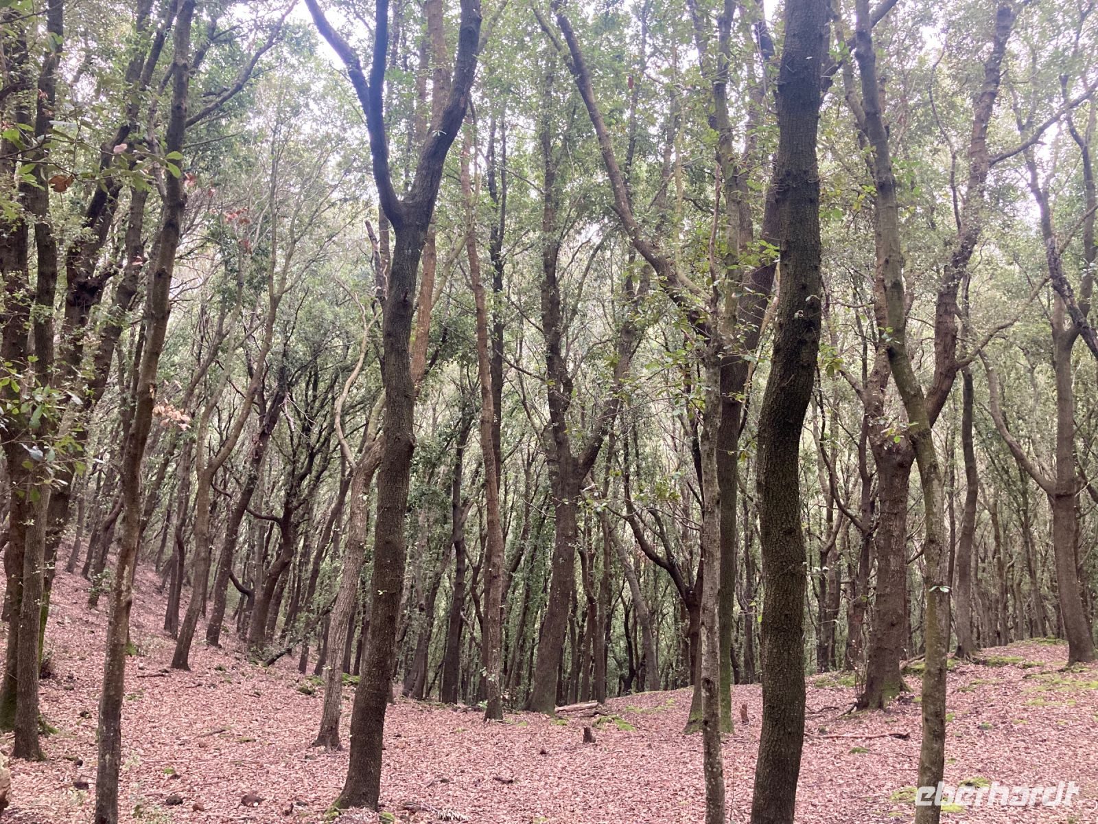 am Kraterrand eines ehemaligen Vulkanes