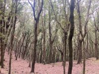 am Kraterrand eines ehemaligen Vulkanes