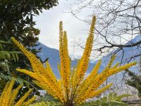 3 Dorf Tirol  &ndash; &copy; Gisela Hohlfeld (Eberhardt TRAVEL)