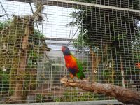  Orchideenwelt Rabland 