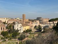 Blick vom Palatin auf Forum Romanum