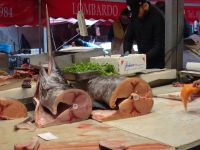 Fischmarkt Catania