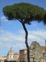auf dem Weg in das Forum Romanum: Trajans
