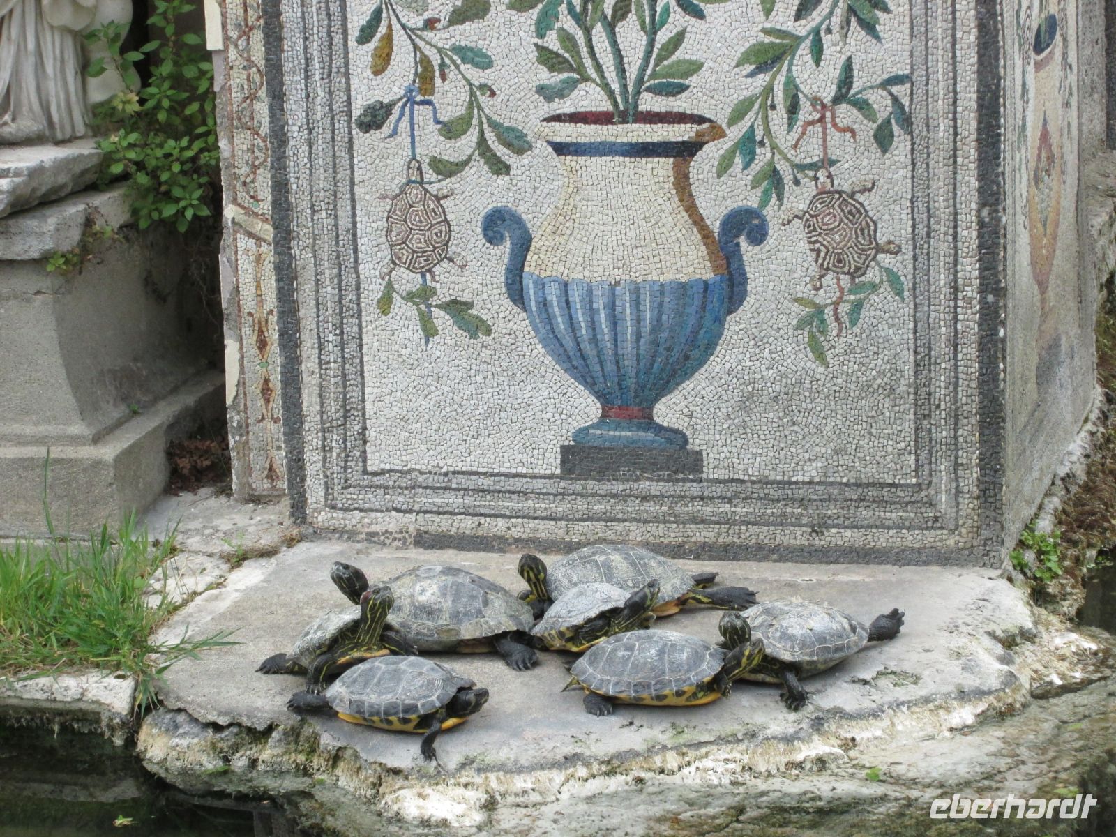 interessante Bewohner des