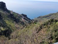 Blick vom Götterweg