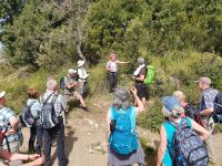 Wanderung auf dem Götterweg
