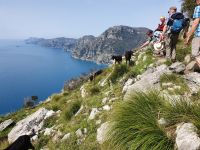 Wanderung auf dem Götterweg