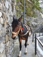 Nocelle, an der Bushaltestelle