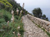 Wanderung auf der sorrentinischen Halbinsel