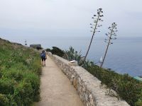 Wanderung auf der sorrentinischen Halbinsel zur Punta Campanella
