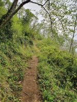 Wanderung zum Monte s.Costanzo