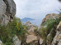 Wanderung zum Monte San Costanzo
