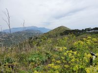 Wanderung zum Monte San Costanzo