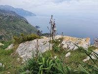 Blick vom Monte San Costanzo zur Amalfiküste