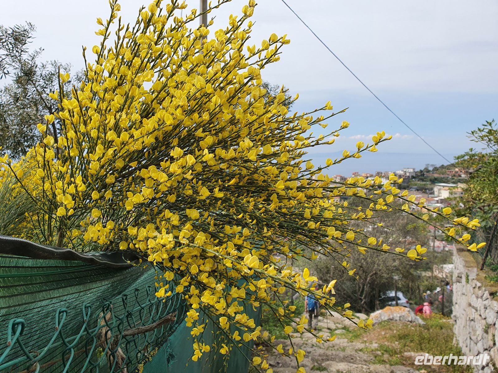 Abstieg vom Monte San Costanzo