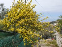 Abstieg vom Monte San Costanzo