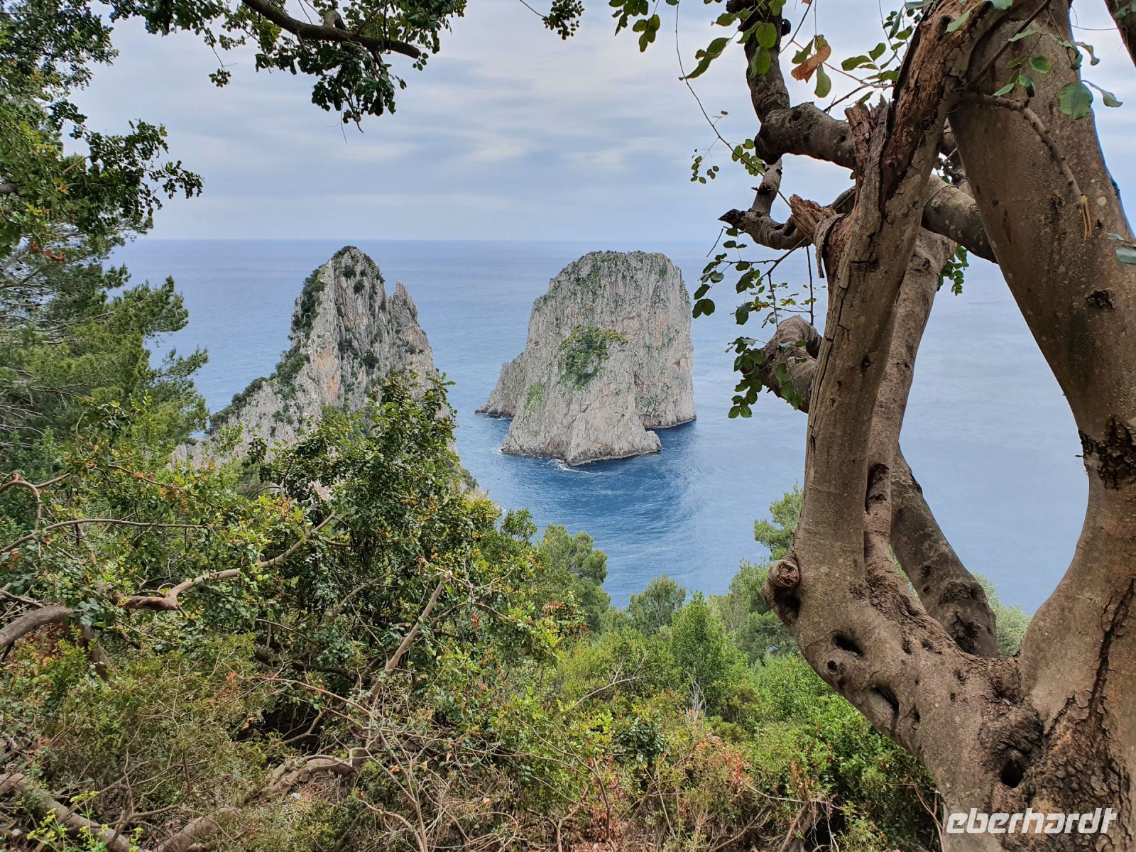 Insel Capri, Faraglioni