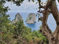Insel Capri, Faraglioni