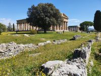 Paestum, Concordia und Hera Tempel