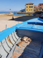 Fischerhafen in Santa Maria di Castellabate