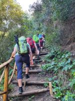 Wanderweg steil bergan