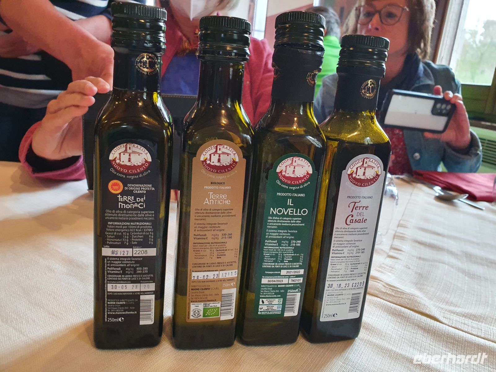 Olivenöle in San Mauro Cilento