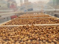 Feigen Geschmacksmanufaktur Santomiele