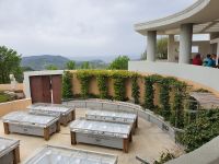 Feigen Geschmacksmanufaktur Santomiele