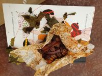 Haltbarmachen der Feigen