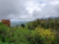 Blick hinunter zur Küste 