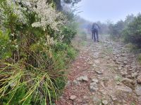 Wanderung zum Monte Stella