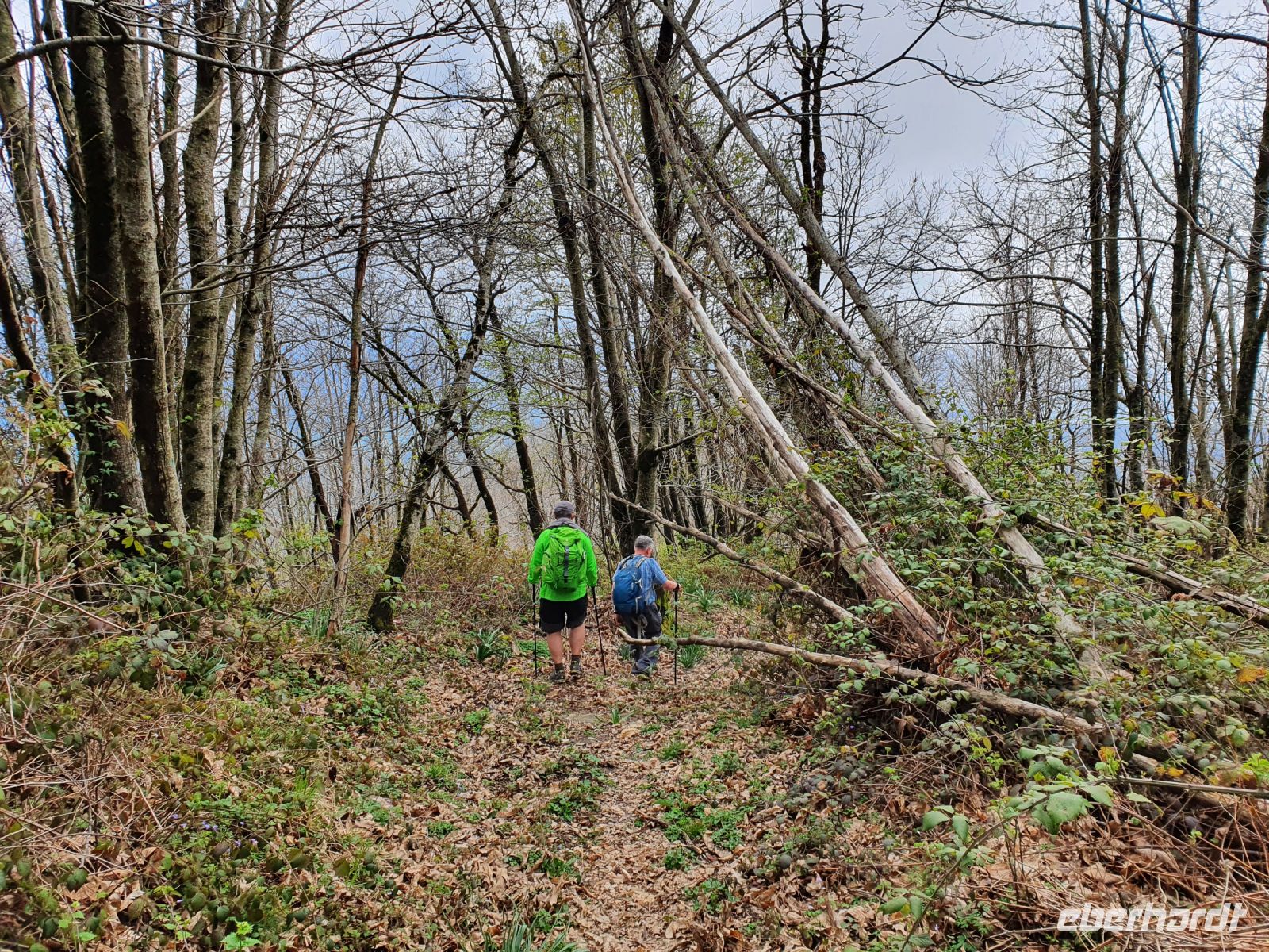 Abstieg vom Monte Stella