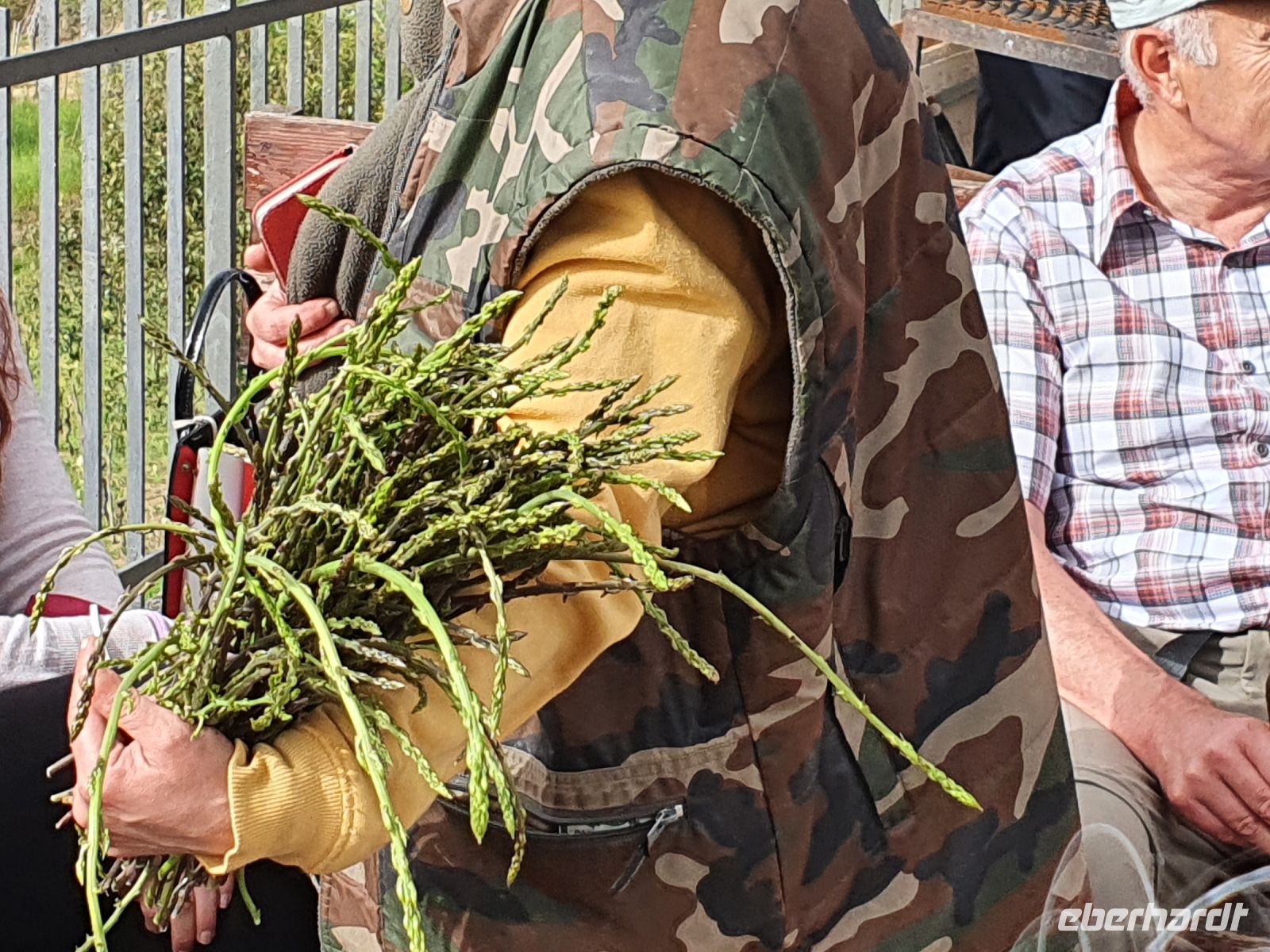 reichlich wilder Spargel....