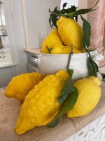 Bar Hotel Villa Romana